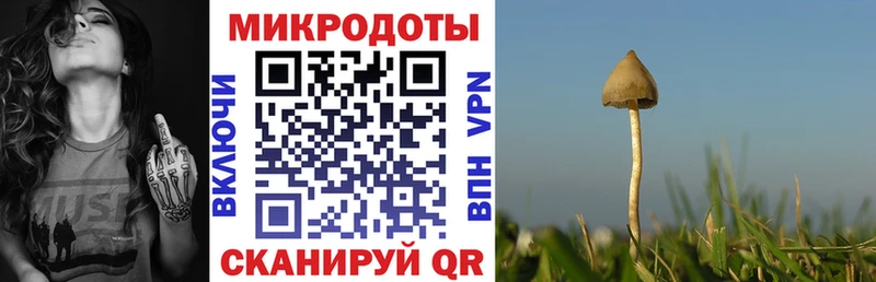 Галлюциногенные грибы прущие грибы  цены   Альметьевск 